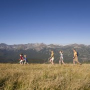 People hiking in the summer