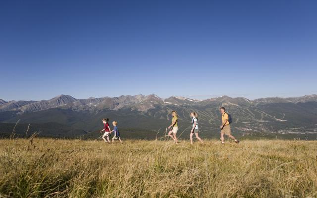 People hiking in the summer