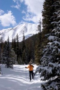 Person Cross Country Skiing