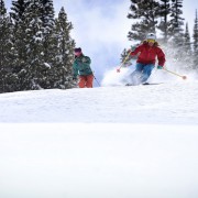 People Powder Skiing