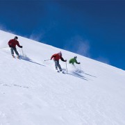People Skiing