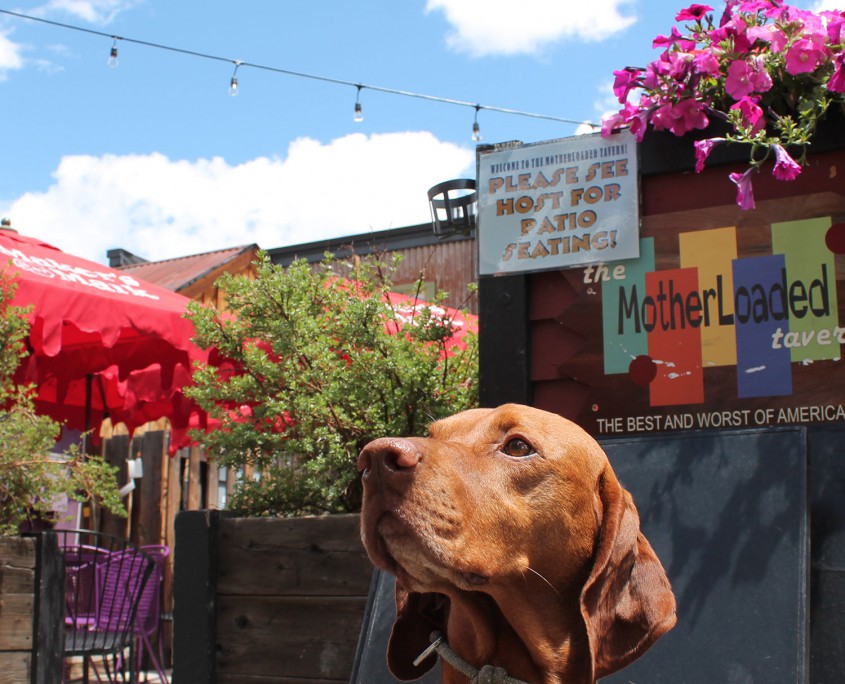 Breckenridge DogFriendly Patios Best of Breckenridge