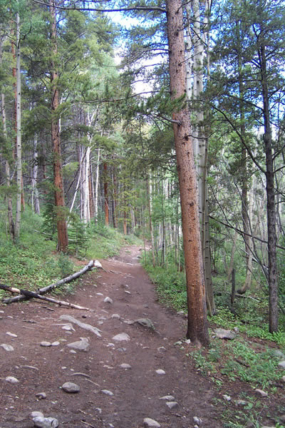 Lower Peaks Trail in Breckenridge