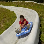 Kid on alpine slide