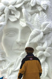 Person looking at a snow sculpture