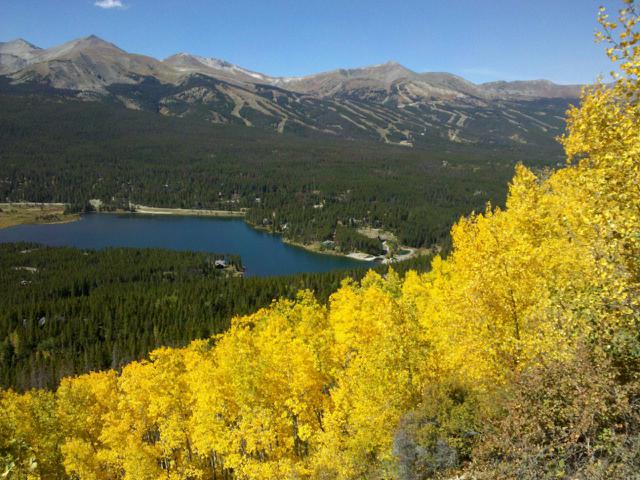 Fall leaves in Breckenridge Colorado