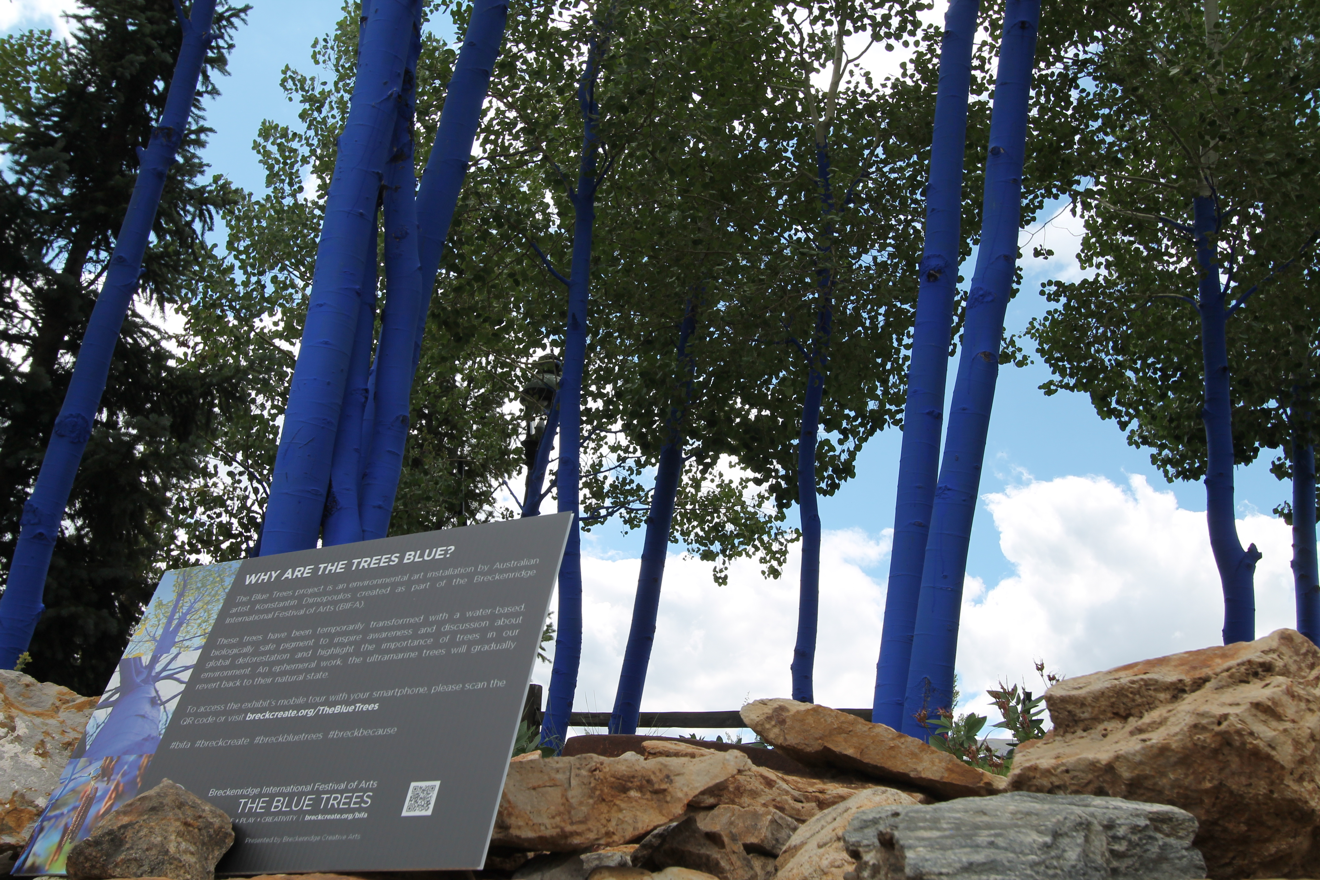 Painted blue trees at the Breckenridge International Festival of Arts