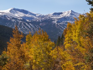 View of the Breckenridge Ski Resort through fall aspen leaves