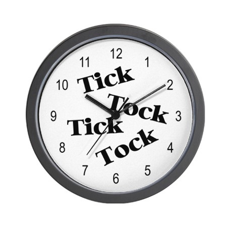 Is the clock ticking for TikTok?