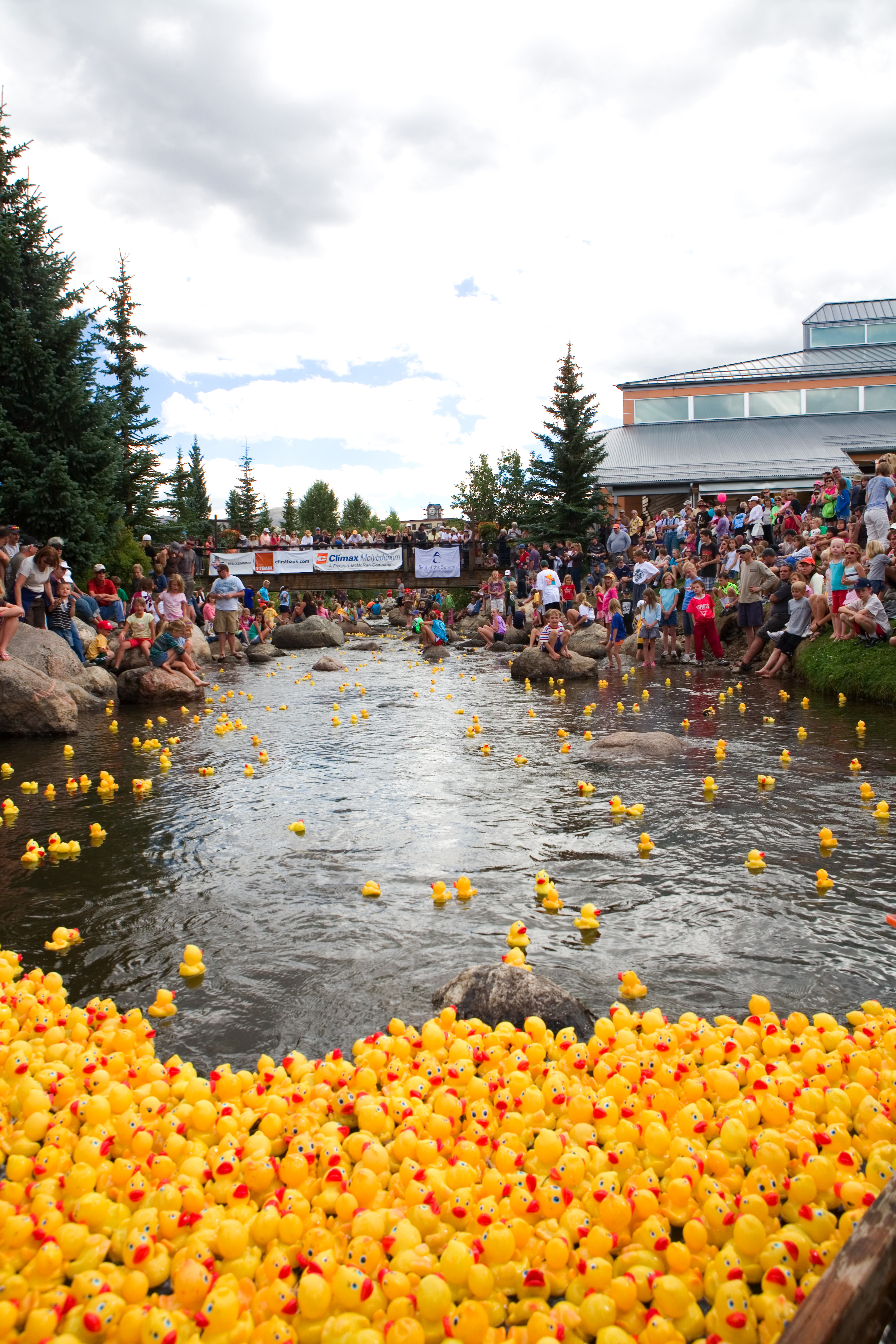 The Rubber Duck Race in Breckenridge