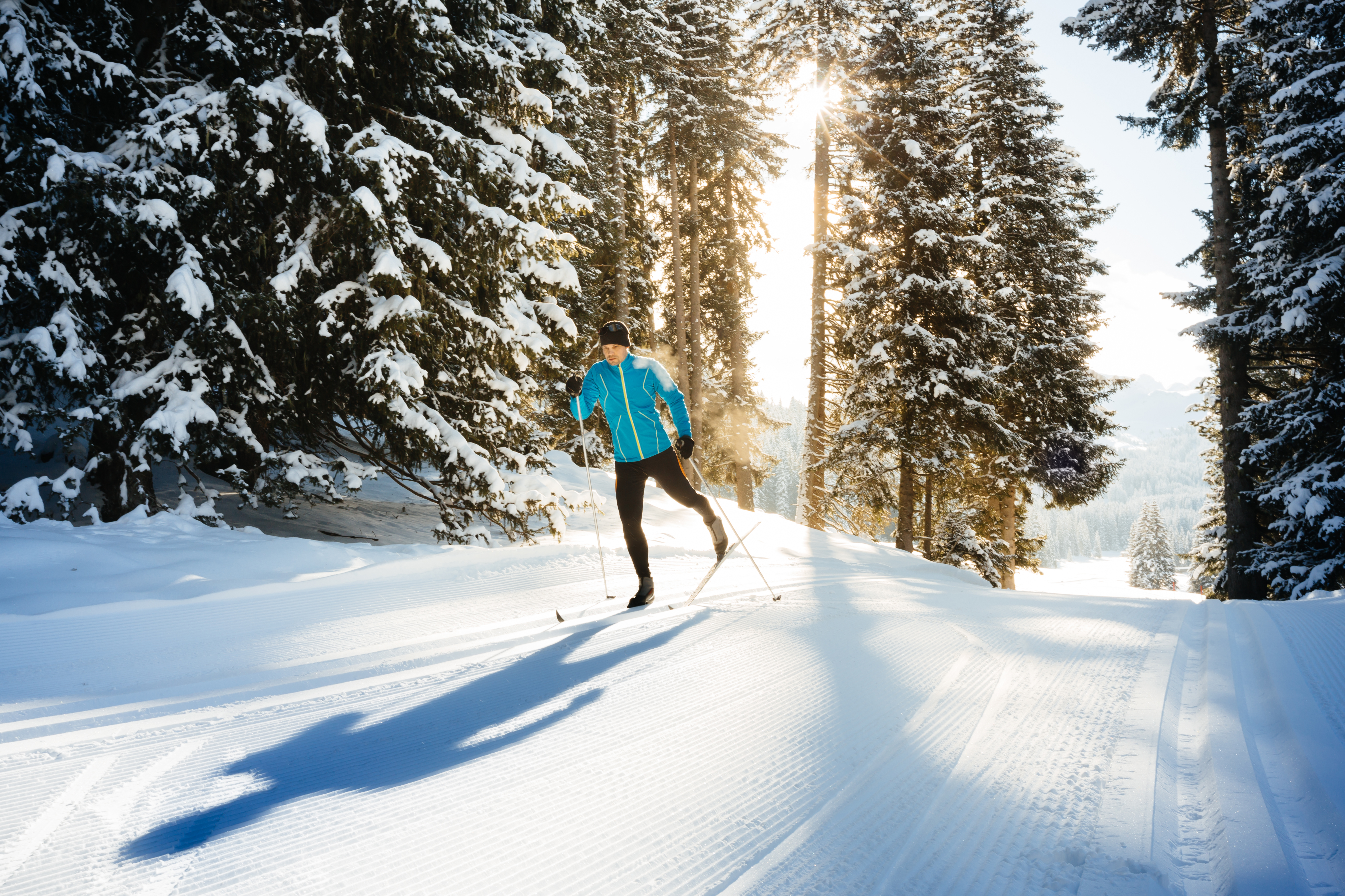 Зимний день и лыжи. Лыжная прогулка в лесу. Лыжник в лесу. Лыжные прогулки по лесу. Прогулка по зимнему лесу.