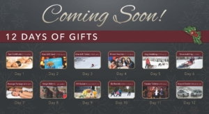 12 Days of Gifts Coming Soon!