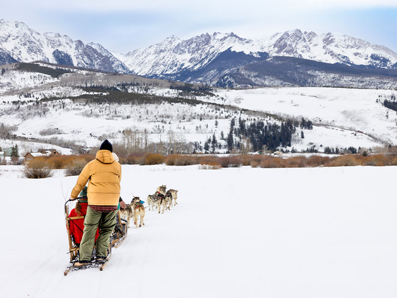 dog-sledding-5