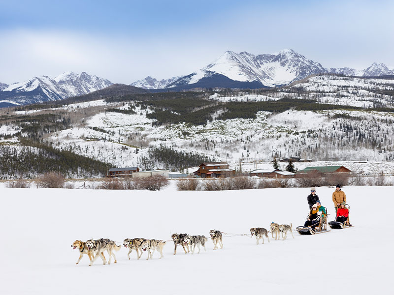 dog-sledding4