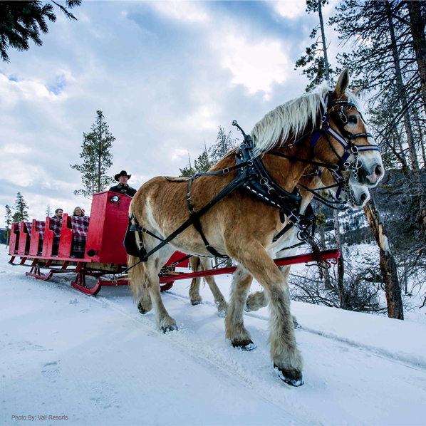 sleigh ride