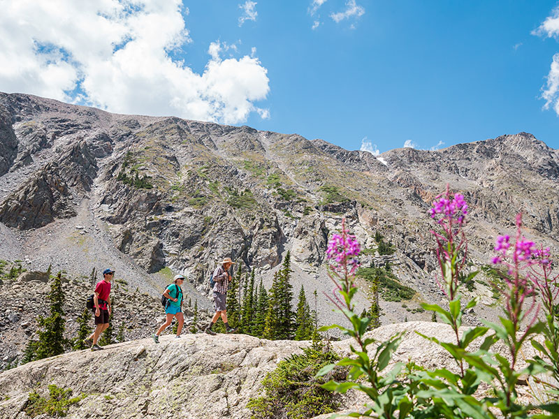 Family hiking in the summer in Breckenridge