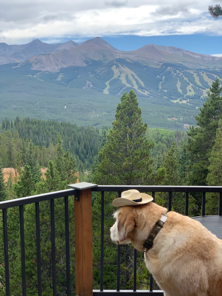 Breckenridge DogFriendly Patios Best of Breckenridge