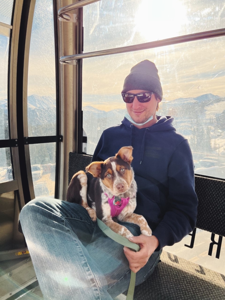Dog on the BreckConnect Gondola