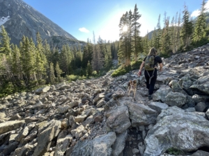 A hiker and her dog head through a rocky portion of the McCullough Gulch Trail near Breckenridge, Colorado.