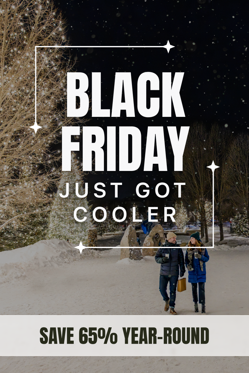 10.2025_BlackFriday_WebHeader_GTL_800x1200_03