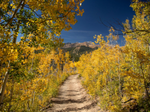 Fall Hikes in Breckenridge