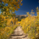 Fall Hikes in Breckenridge