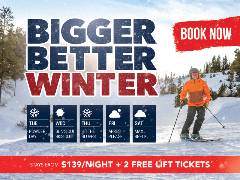 Book Now! Book Now!